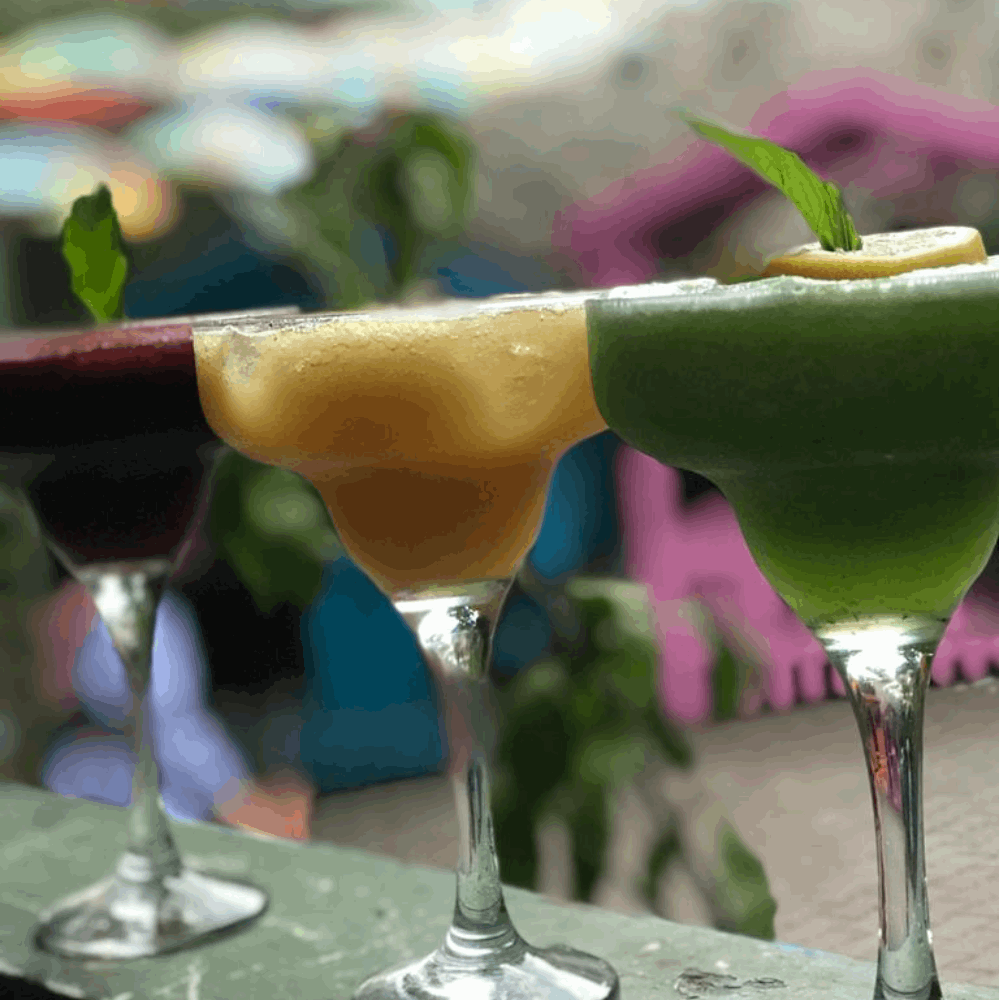 FROZEN YESIL.ELMA